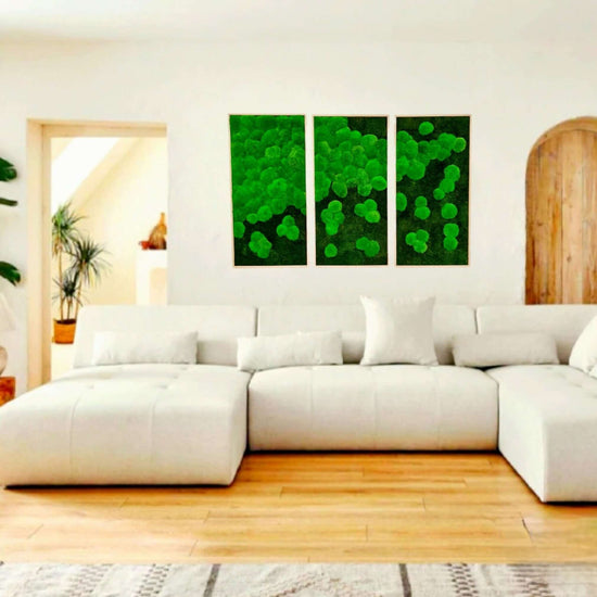 Moser the green wallart 3er Bilder Set Moosbilder für den Innenraum zur Schallreduktion