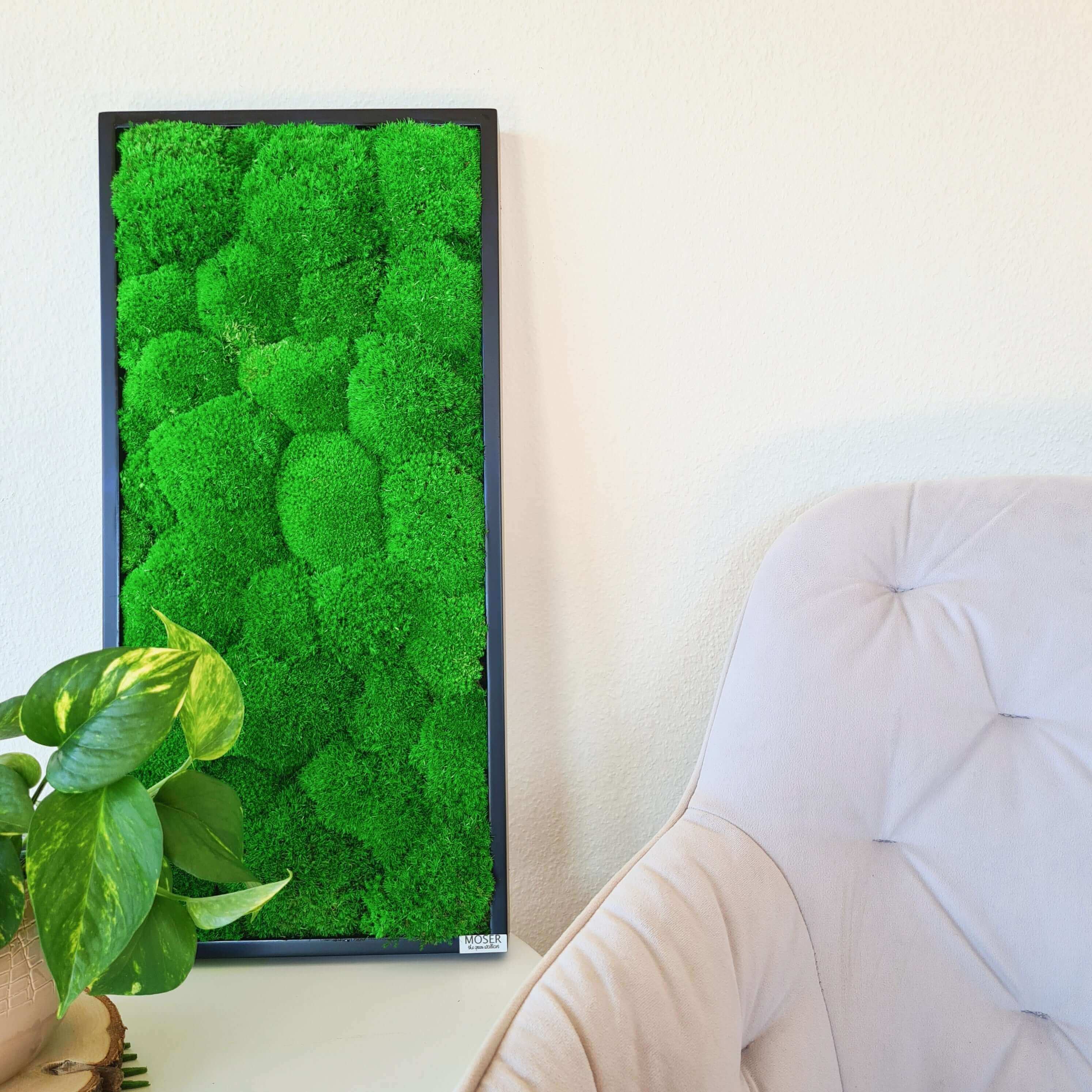 Moosbild mit Kugelmoos klein 57x27x4 cm zur vertikalen oder horizontalen Wandmontage geeignet, folierter Vollholzrahmen in verschiedenen Farben von Moser - the green wallart