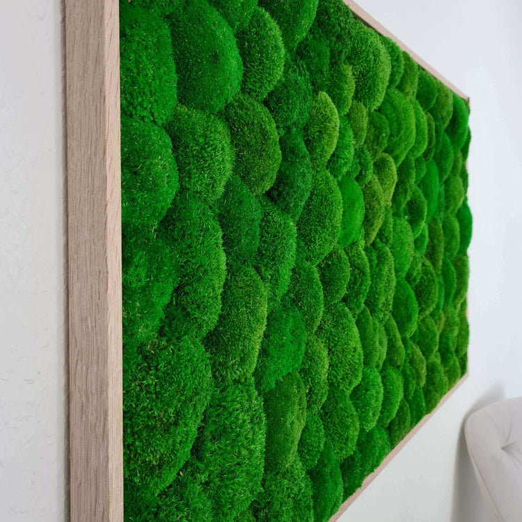 Moss picture with pole moss in a solid wood frame