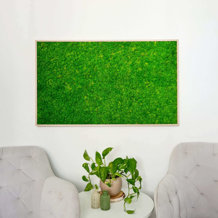 Moss picture with reindeer moss in a solid wood frame