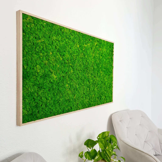 Moosbild 100x60 cm mit Islandmoos in light green, Moosbild als Akustikbild