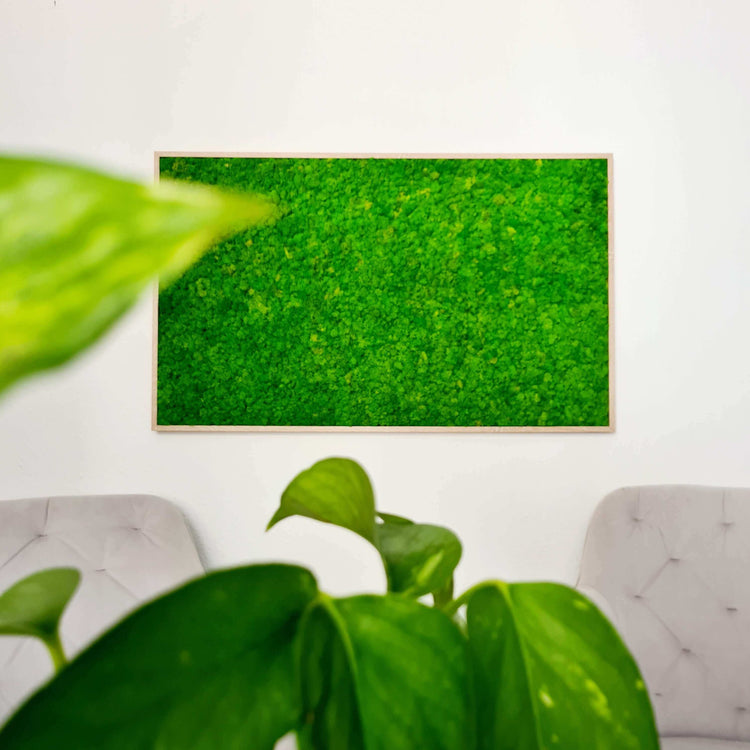 Moss picture with reindeer moss in a solid wood frame