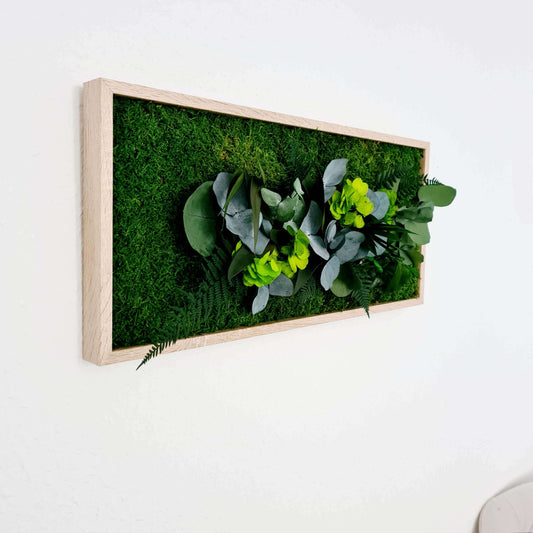 Moss picture, plant picture in solid wood frame