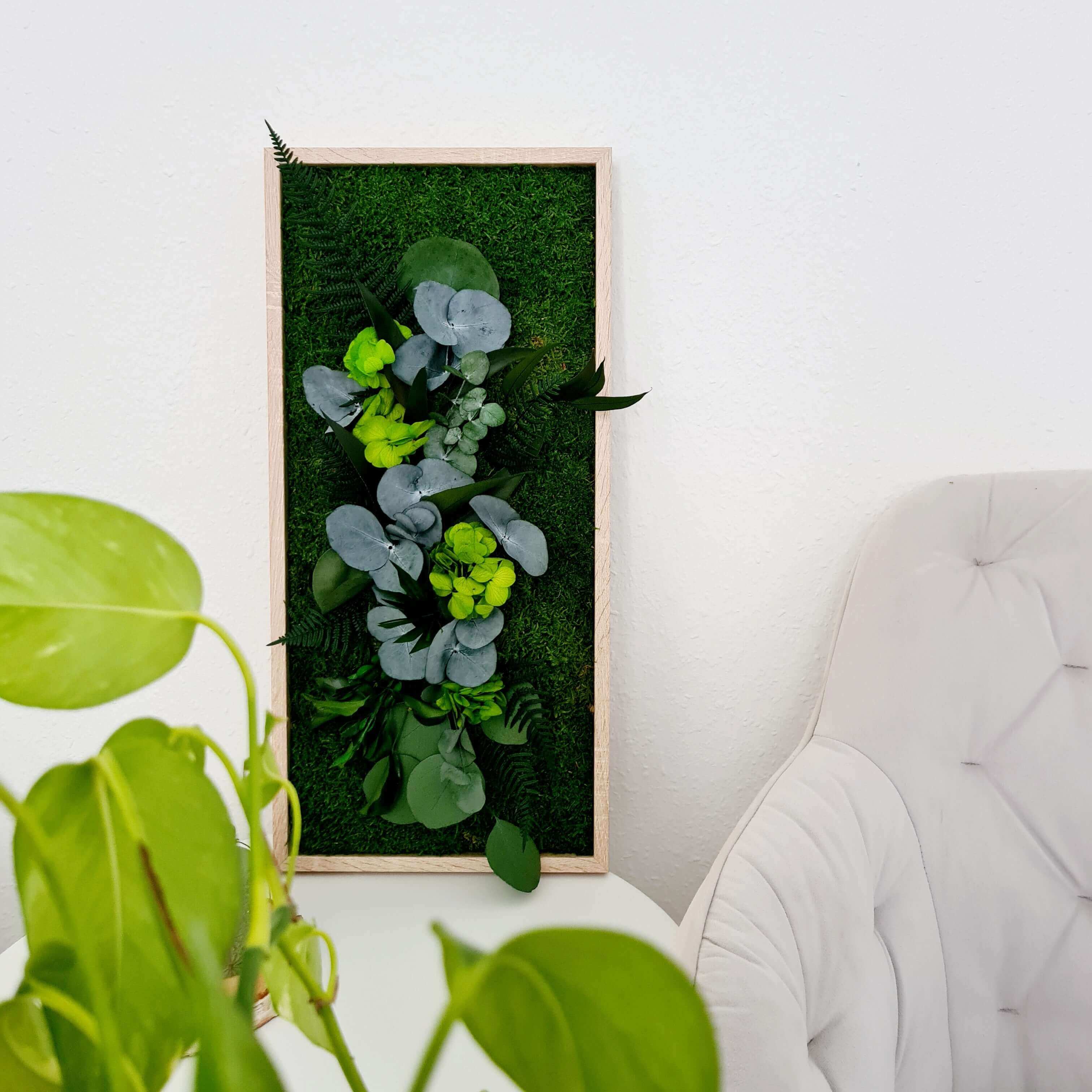 Moss picture, plant picture in solid wood frame