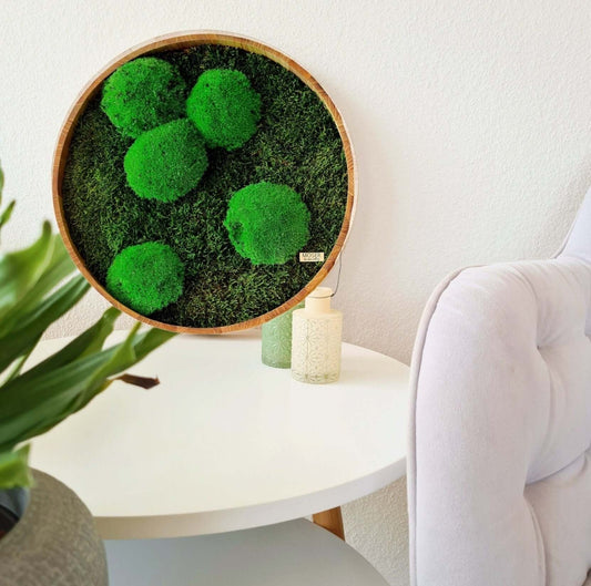 Round "mixed" moss picture, wooden frame
