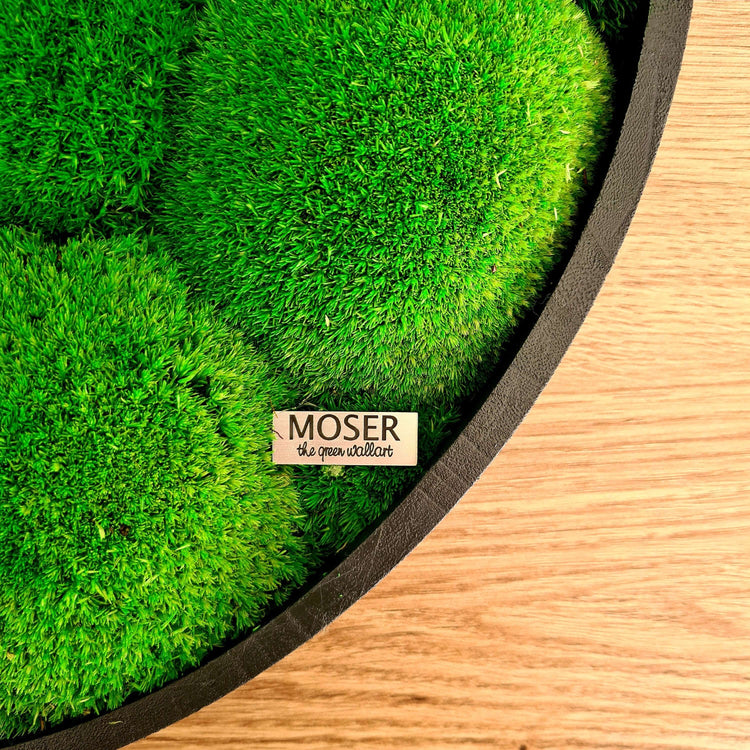Round moss picture, mural with pole moss, wooden frame