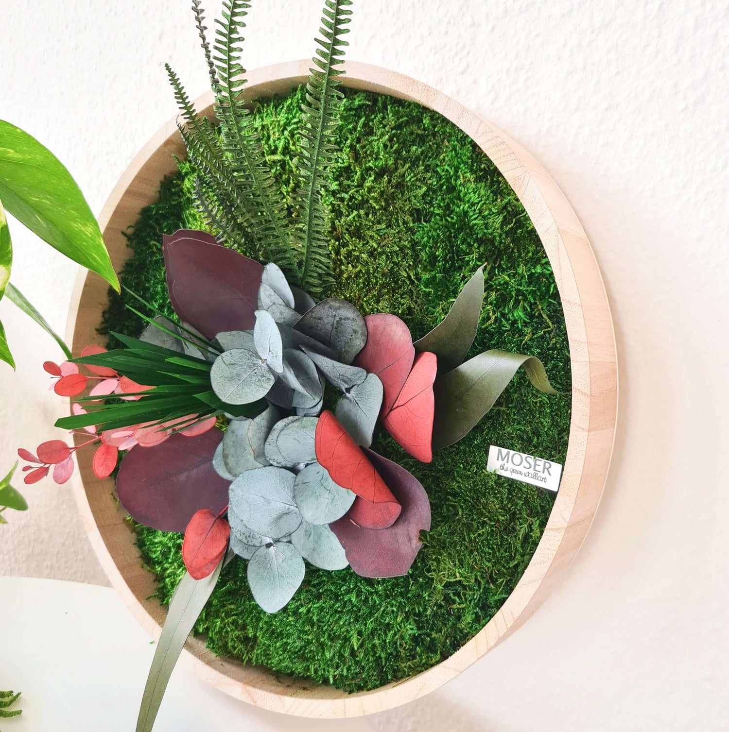 Round moss picture with plants in a wooden frame