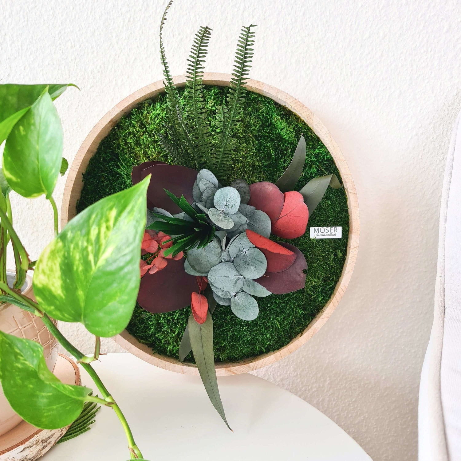 Round moss picture with plants in a wooden frame