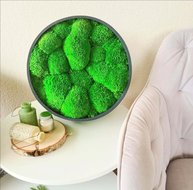 Round moss picture, mural with pole moss, wooden frame