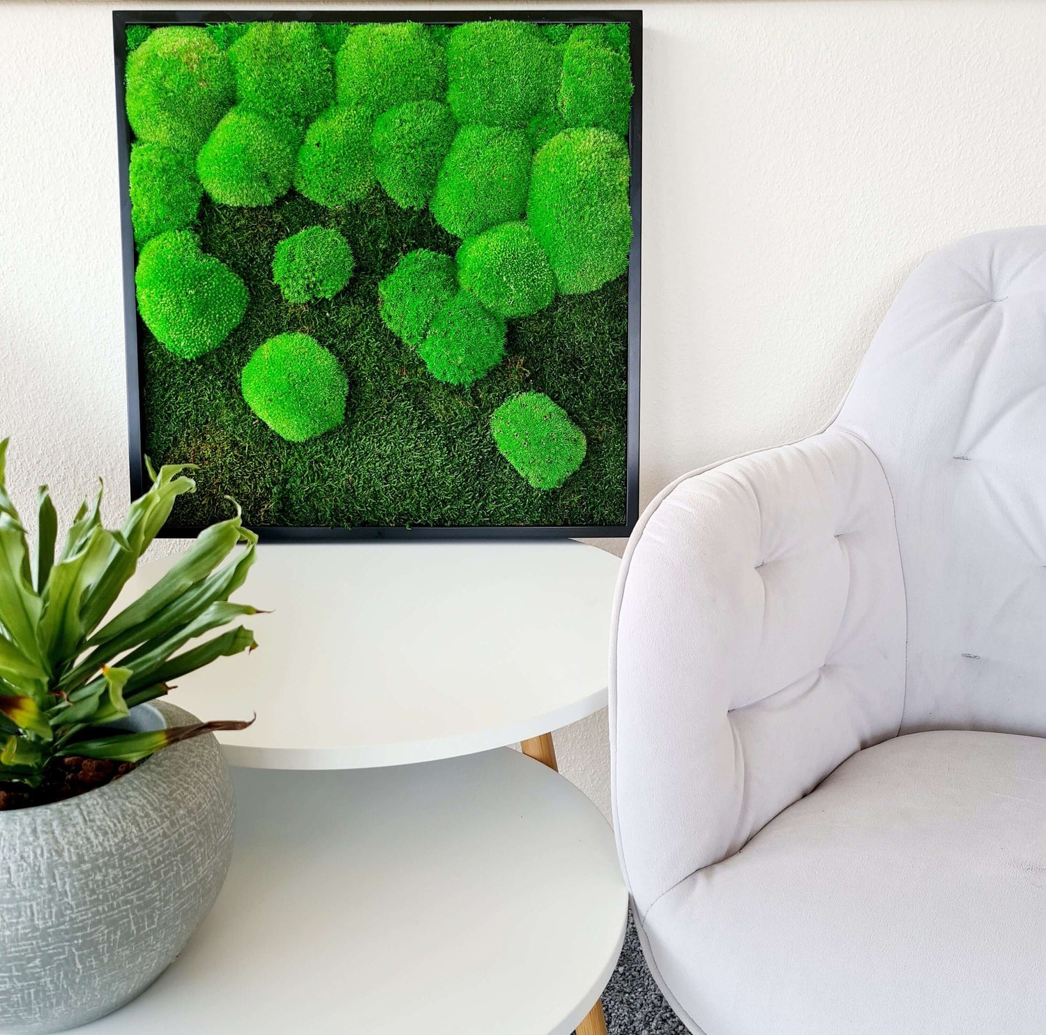 Moss picture set 3 pcs. Forest and pole moss in a solid wood frame