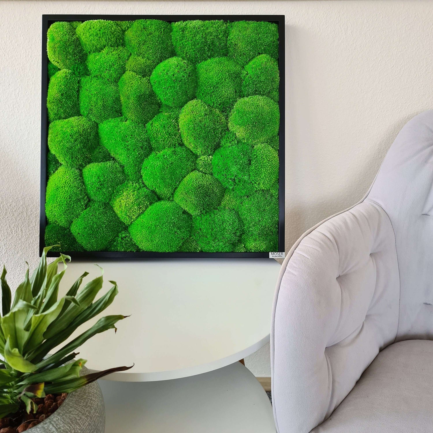 Moss picture set 3 pcs. Forest and pole moss in a solid wood frame